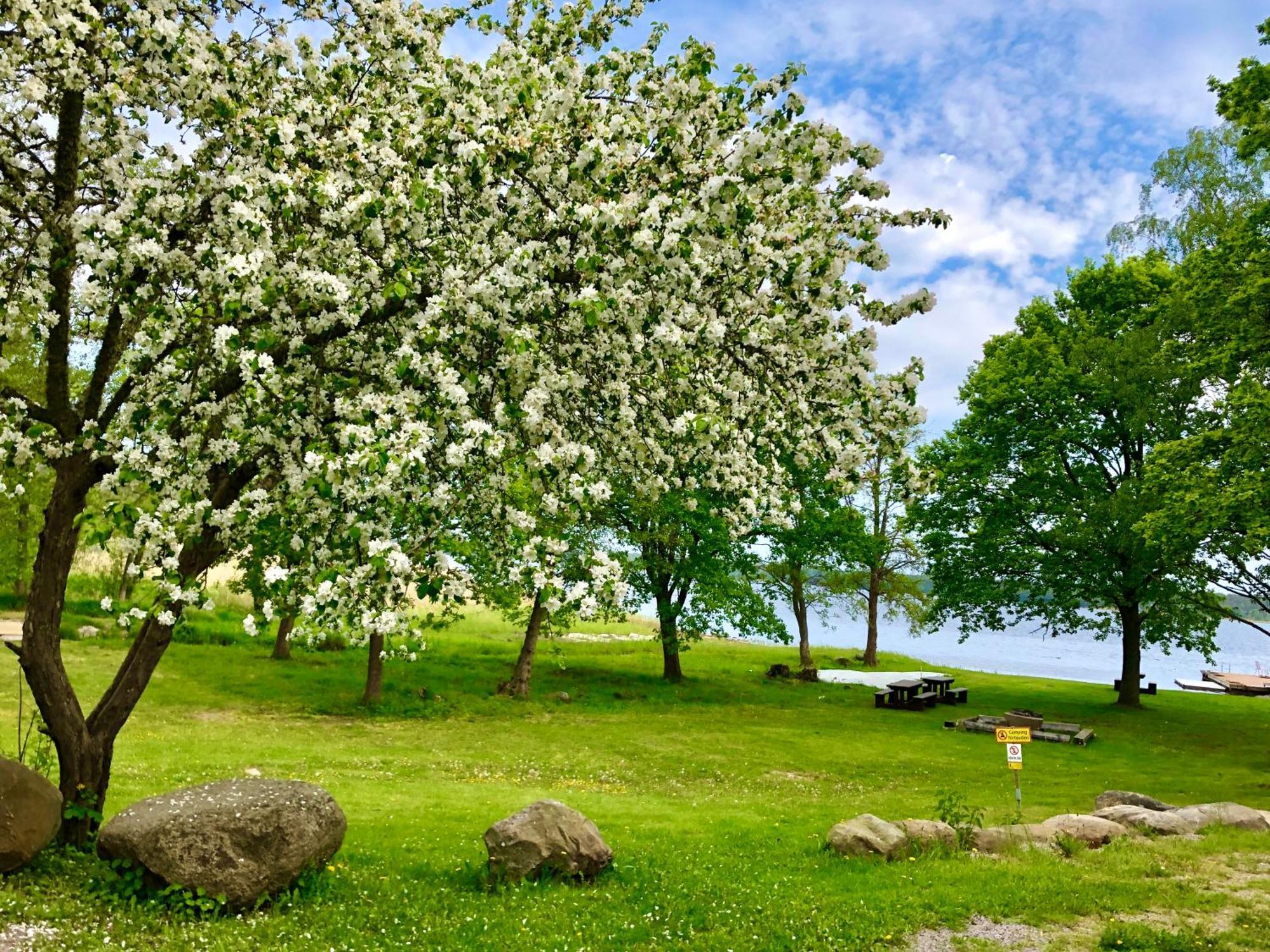 Marsbaecken Pansiyon Västervik Dış mekan fotoğraf