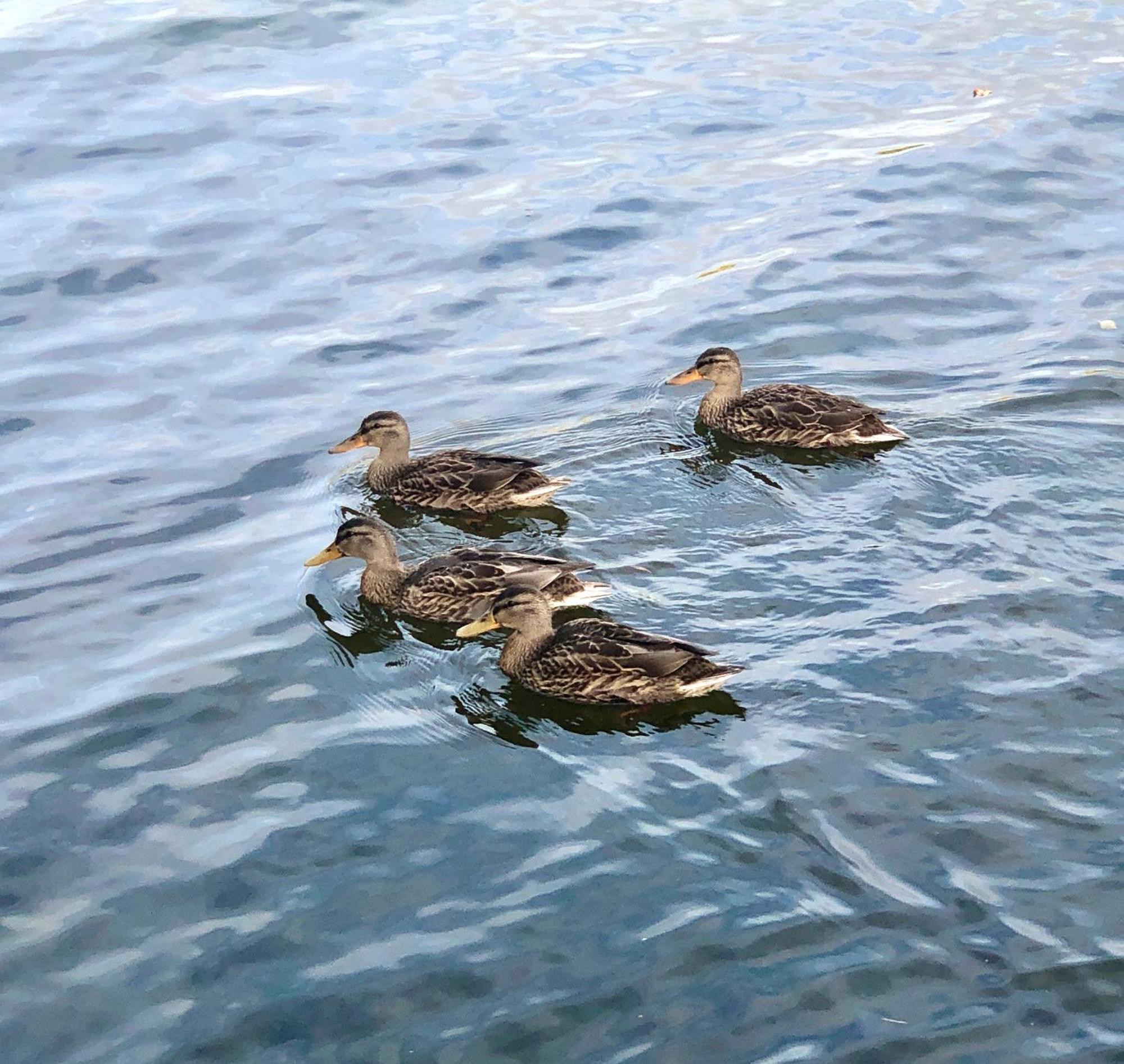 Marsbaecken Pansiyon Västervik Dış mekan fotoğraf